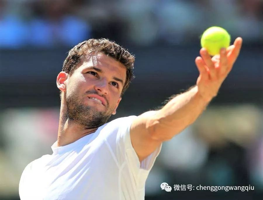 场上挥洒青 场上挥洒青