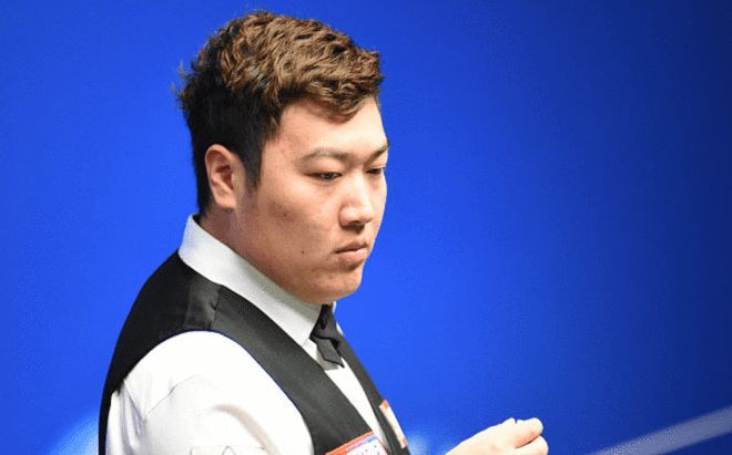 的外表和扎 的外表和扎