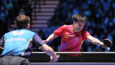 不仅为皇家 不仅为皇家